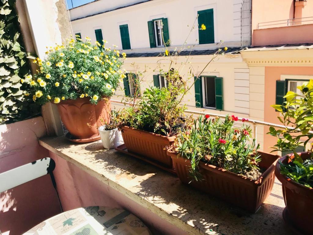 Green Guesthouse Rome Bagian luar foto