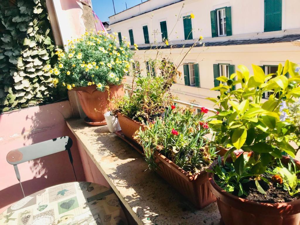 Green Guesthouse Rome Bagian luar foto