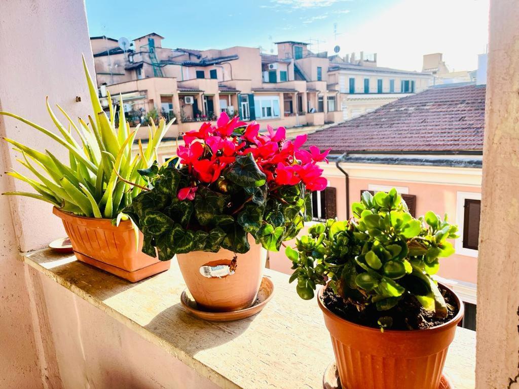 Green Guesthouse Rome Bagian luar foto