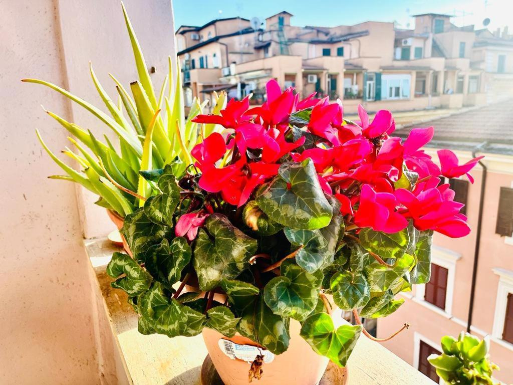 Green Guesthouse Rome Bagian luar foto